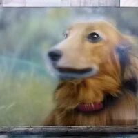 画像1602：エアブラシ教室にペイペイ使えます♪(σ≧▽≦)σ